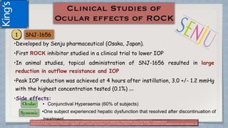 •Developed by Senju pharmaceutical (Osaka, Japan).
•First ROCK inhibitor studied in a clinical trial to lower IOP
•In animal studies, topical administration of SNJ-1656 resulted in large
reduction in outflow resistance and IOP
•Peak IOP reduction was achieved at 4 hours after instillation, 3.0 +/- 1.2 mmHg
with the highest concentration tested (0.1%) (1) (2)
•Side effects:
• Conjunctival Hyperaemia (60% of subjects)
•One subject experienced hepatic dysfunction that resolved after discontinuation of
treatment.(1)Tanna AP and Johnson M.Rho Kinase Inhibitors as a Novel Treatment for Glaucoma and Ocular Hypertension .Ophthalmology Volume 125, Number 11, November 2018
(2)Moshirfar M, Parker L, Birdsong O, Ronquillo Y, Hofstedt D, Shah T, Gomez A and Hoopes P. Use of Rho kinase inhibitors in ophthalmology. A review of literature.Med Hypothesis Discov Innov Ophthalmol. 2018; 7(3)
 