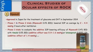 •Approved in Japan for the treatment of glaucoma and OHT in September 2014
• Phase 1 & Phase 2 trials (Ripasudil 0.4% BID): lowered IOP on average by 2 - 4.4
mmHg 2 hours after instillation
• Phase 3 trials to evaluate the additive IOP-lowering efficacy of Ripasudil 0.4% BID
with timolol 0.5% BID (additive effect was 0.9-1.6 mmHg)or latanoprost 0.005% QD
(additive effect of 1.4 mmHg) (1) (2)
(1)Tanna AP and Johnson M.Rho Kinase Inhibitors as a Novel Treatment for Glaucoma and Ocular Hypertension .Ophthalmology Volume 125, Number 11, November 2018
(2)Moshirfar M, Parker L, Birdsong O, Ronquillo Y, Hofstedt D, Shah T, Gomez A and Hoopes P. Use of Rho kinase inhibitors in ophthalmology. A review of literature.Med Hypothesis Discov Innov Ophthalmol. 2018; 7(3)
 
