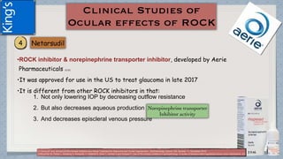 •ROCK inhibitor & norepinephrine transporter inhibitor, developed by Aerie
Pharmaceuticals (1) (2)
•It was approved for use in the US to treat glaucoma in late 2017
•It is different from other ROCK inhibitors in that:
1. Not only lowering IOP by decreasing outflow resistance
2. But also decreases aqueous production
3. And decreases episcleral venous pressure
(1)Tanna AP and Johnson M.Rho Kinase Inhibitors as a Novel Treatment for Glaucoma and Ocular Hypertension .Ophthalmology Volume 125, Number 11, November 2018
(2)Moshirfar M, Parker L, Birdsong O, Ronquillo Y, Hofstedt D, Shah T, Gomez A and Hoopes P. Use of Rho kinase inhibitors in ophthalmology. A review of literature.Med Hypothesis Discov Innov Ophthalmol. 2018; 7(3)
 