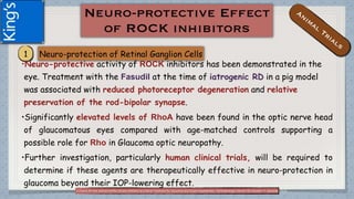 (1)Tanna AP and Johnson M.Rho Kinase Inhibitors as a Novel Treatment for Glaucoma and Ocular Hypertension .Ophthalmology Volume 125, Number 11, November 2018
•Neuro-protective activity of ROCK inhibitors has been demonstrated in the
eye. Treatment with the Fasudil at the time of iatrogenic RD in a pig model
was associated with reduced photoreceptor degeneration and relative
preservation of the rod-bipolar synapse.
•Significantly elevated levels of RhoA have been found in the optic nerve head
of glaucomatous eyes compared with age-matched controls supporting a
possible role for Rho in Glaucoma optic neuropathy.
•Further investigation, particularly human clinical trials, will be required to
determine if these agents are therapeutically effective in neuro-protection in
glaucoma beyond their IOP-lowering effect.
 