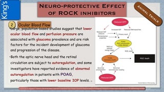 (1)Kohomoto R, Sugiyama T, Kojima S, Ueki M and Ikeda T.Optic Nerve Head Blood Flow Changes Induced by Ripasudil Added to Prostaglandin Analogues in Primary Open Angle Glaucoma. EC Ophthalmology 4.6 (2017): 640-647.
•Large, population-based studies suggest that lower
ocular blood flow and perfusion pressure are
associated with glaucoma prevalence and are risk
factors for the incident development of glaucoma
and progression of the disease.
•Both the optic nerve head and the retinal
circulation are subject to autoregulation, and some
investigators have reported evidence of abnormal
autoregulation in patients with POAG,
particularly those with lower baseline IOP levels. (1)
 