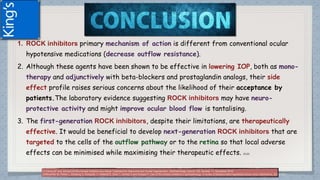 1. ROCK inhibitors primary mechanism of action is different from conventional ocular
hypotensive medications (decrease outflow resistance).
2. Although these agents have been shown to be effective in lowering IOP, both as mono-
therapy and adjunctively with beta-blockers and prostaglandin analogs, their side
effect profile raises serious concerns about the likelihood of their acceptance by
patients.The laboratory evidence suggesting ROCK inhibitors may have neuro-
protective activity and might improve ocular blood flow is tantalising.
3. The first-generation ROCK inhibitors, despite their limitations, are therapeutically
effective. It would be beneficial to develop next-generation ROCK inhibitors that are
targeted to the cells of the outflow pathway or to the retina so that local adverse
effects can be minimised while maximising their therapeutic effects. (1) (2)
(1)Tanna AP and Johnson M.Rho Kinase Inhibitors as a Novel Treatment for Glaucoma and Ocular Hypertension .Ophthalmology Volume 125, Number 11, November 2018
(2)Moshirfar M, Parker L, Birdsong O, Ronquillo Y, Hofstedt D, Shah T, Gomez A and Hoopes P. Use of Rho kinase inhibitors in ophthalmology. A review of literature.Med Hypothesis Discov Innov Ophthalmol. 2018; 7(3)
 