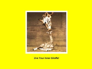 Live Your Inner Giraffe! 