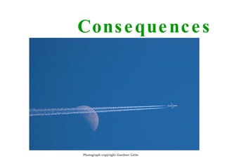 Consequences Photograph copyright Gardner Little 