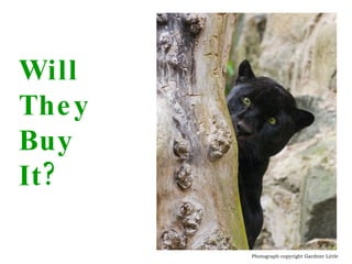 Will  They  Buy  It? Photograph copyright Gardner Little 