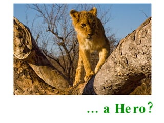 …  a Hero? 