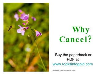 Why  Cancel? Photograph copyright George Philip Buy the paperback or PDF at  www.rocksintogold.com   