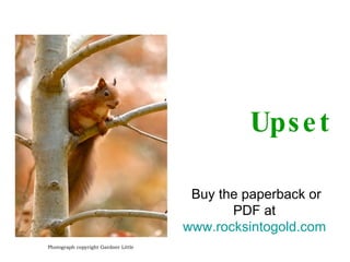 Upset Photograph copyright Gardner Little Buy the paperback or PDF at  www.rocksintogold.com   