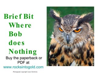 Brief Bit  Where  Bob  does  Nothing Photograph copyright Liam Docherty Buy the paperback or PDF at  www.rocksintogold.com   