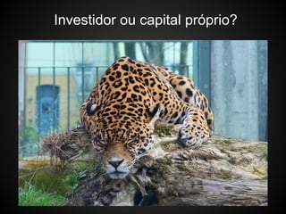 Investidor ou capital próprio?
 