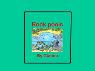 Rock pools

By Gianna

 