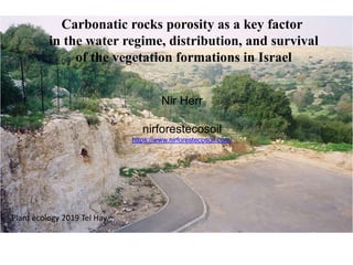 Carbonatic rocks porosity as a key factor
in the water regime, distribution, and survival
of the vegetation formations in Israel
Nir Herr
nirforestecosoil
https://www.nirforestecosoil.com/
Plant ecology 2019 Tel Hay
 