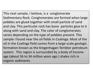 This next sample, I believe, is a  conglomerate Sedimentary Rock. Conglomerates are formed when large pebbles are glued together with small particle of sand and clay. This particular rock has bone  particles glue to it along with sand and clay. The color of conglomerates  varies depending on the type of pebbles present. This sample I found near the oil fields in Coalinga. Most of the oil in the Coalinga field comes from a large-scale geologic formation known as the Kregenhagan-Temblor petroleum system.  This region is surrounded by a body of Eocene-age (about 56 to 34 million years ago ) shales rich in organic sediments. 