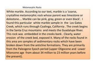 Metamorphic Rocks White marble. According to our text, marble is a ‘coarse, crystalline metamorphic rock whose parent was limestone or dolostone…. Marble can be pink, gray, green or even black’.  I found this particular  white marble sample in  the  Los Gatos Creek, which runs through Coalinga, California . The creek begins in the Santa Cruz mountains  and meets the Guadalupe River.  This rock was  embedded in the creeks bank . Clearly, water erosion  of the creek bed, exposed it. Many of the rocks found in this area are samples of sedimentary rocks which have been broken down from the anticline formations. They are primarily from the Paleogene Epoch period (upper Oligocene and  Lower Mioncene age  from about 34 million to 23 million years before the present).  