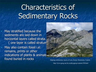 Characteristics of Sedimentary Rocks May stratified because the sediments are laid down in horizontal layers called strata.  ( one layer is called stratum) May also contain fossil i.e: remains, prints or other indications of plants & animals found buried in rocks Dipping sedimentary layers of rock, Rocky Mountains, Canada. http://www.geog.ouc.bc.ca/physgeog/contents/10f.html 