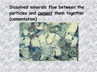 • Dissolved minerals flow between the
particles and cement them together
(cementation)
 