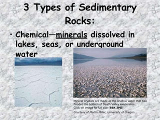 • Chemical—minerals dissolved in
lakes, seas, or underground
water
3 Types of Sedimentary
Rocks:
Mineral crystals are made as the shallow water that has
flooded the bottom of Death Valley evaporates.
Click on image for full size (66K JPG)
Courtesy of Martin Miller, University of Oregon
 