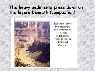 • The heavy sediments press down on
the layers beneath (compaction)
 