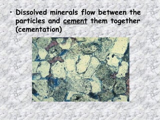 • Dissolved minerals flow between the
particles and cement them together
(cementation)
 