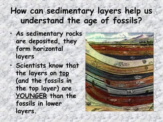 How can sedimentary layers help us
understand the age of fossils?
• As sedimentary rocks
are deposited, they
form horizontal
layers
• Scientists know that
the layers on top
(and the fossils in
the top layer) are
YOUNGER than the
fossils in lower
layers.
 