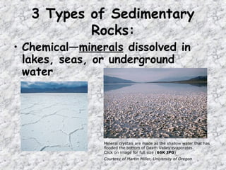 • Chemical—minerals dissolved in
lakes, seas, or underground
water
3 Types of Sedimentary
Rocks:
Mineral crystals are made as the shallow water that has
flooded the bottom of Death Valley evaporates.
Click on image for full size (66K JPG)
Courtesy of Martin Miller, University of Oregon
 