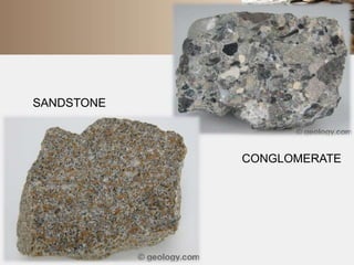 SANDSTONE 
CONGLOMERATE 
 