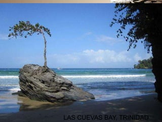 LAS CUEVAS BAY, TRINIDAD 
 