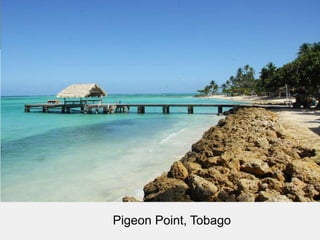 Pigeon Point, Tobago 
 