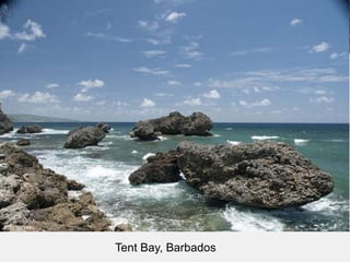 Tent Bay, Barbados 
 