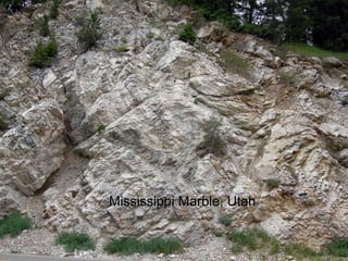 Mississippi Marble, Utah 
 