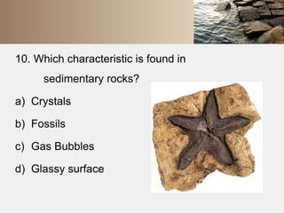 10. Which characteristic is found in 
sedimentary rocks? 
a) Crystals 
b) Fossils 
c) Gas Bubbles 
d) Glassy surface 
 