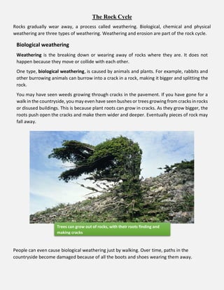 Rocks.pdf