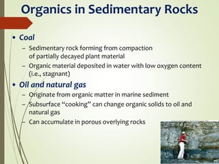 Organics in Sedimentary Rocks
• Coal
– Sedimentary rock forming from compaction
of partially decayed plant material
– Organic material deposited in water with low oxygen content
(i.e., stagnant)
• Oil and natural gas
– Originate from organic matter in marine sediment
– Subsurface “cooking” can change organic solids to oil and
natural gas
– Can accumulate in porous overlying rocks
 