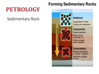 Sedimentary Rock
 