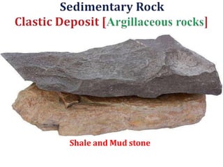 Shale and Mud stone
 