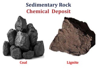 Coal Lignite
 