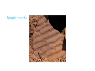 Ripple marks
 