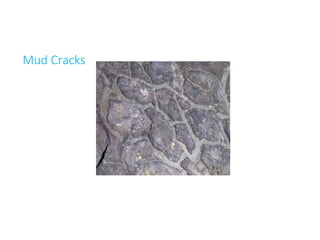 Mud Cracks
 