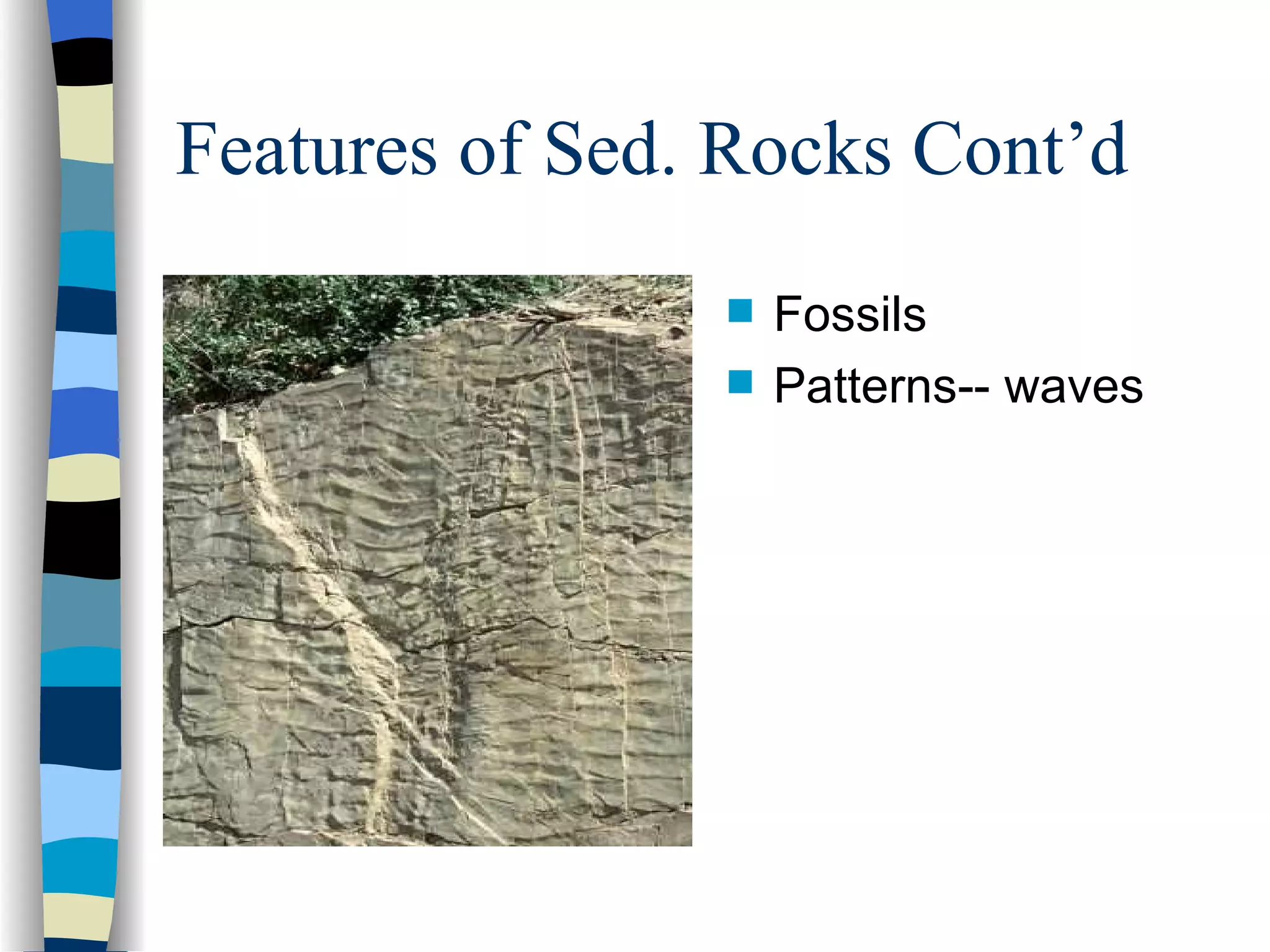 Features of Sed. Rocks Cont’d Fossils Patterns-- waves 