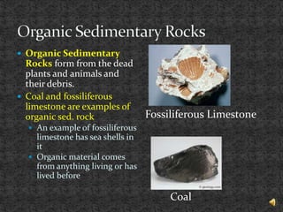 Organic Solids Rocks Organic Sedimentary Rocks