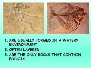 Different Types of Rocks and the processes involved in its formation ...