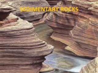 SEDIMENTARY ROCKS

 
