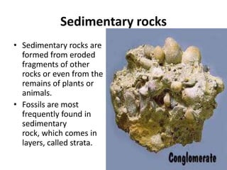 Sedimentary rocks
• Sedimentary rocks are
formed from eroded
fragments of other
rocks or even from the
remains of plants or
animals.
• Fossils are most
frequently found in
sedimentary
rock, which comes in
layers, called strata.

 