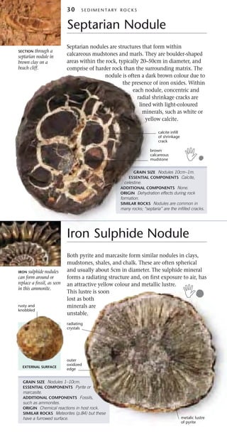 Septarium Rocks and minerals | PDF