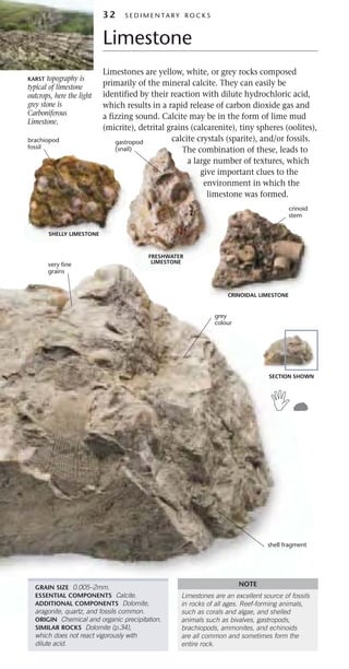 Rocks and minerals | PDF