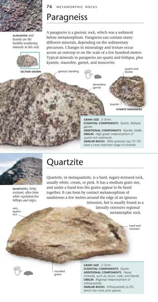 Knobbly Rocks Rocks and minerals | PDF