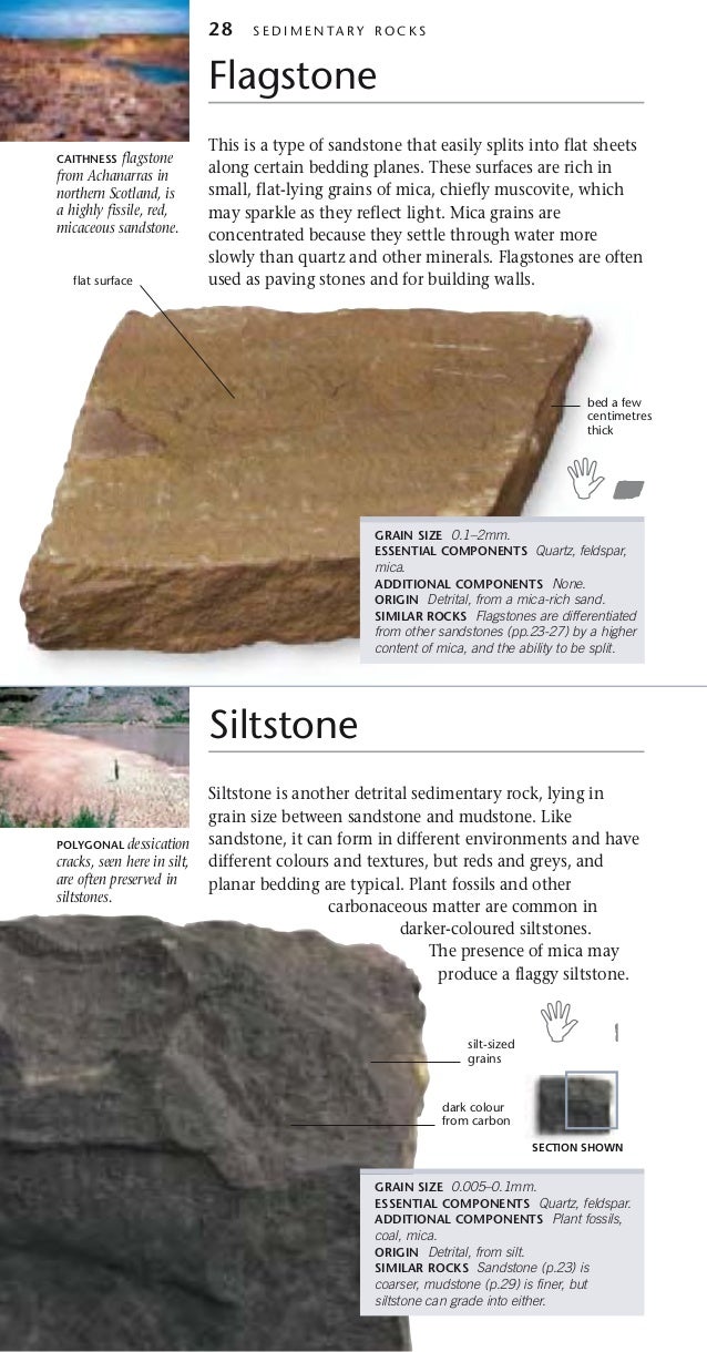 rocks and minerals if all the particles in a detrital sedimentary rock are nearly the same size it is