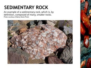 Vertical Sedimentary Rocks Examples rocks and minerals EARTH AND LIFE SCI.pptx