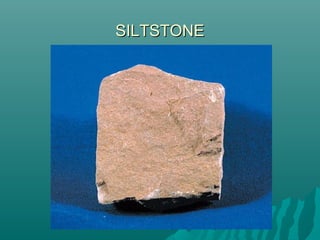 SILTSTONESILTSTONE
 
