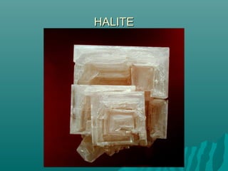 HALITEHALITE
 